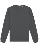 Roller unisex crew neck sweatshirt (STSU868)