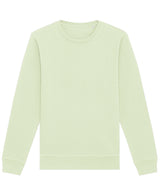 Roller unisex crew neck sweatshirt (STSU868)