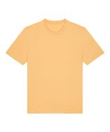 Unisex Creator 2.0 iconic t-shirt (SX701)