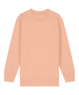Kids Mini Changer 2.0 iconic crew neck sweatshirt (STSK181)