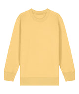 Kids Mini Changer 2.0 iconic crew neck sweatshirt (STSK181)