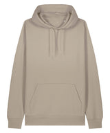 Unisex Cruiser 2.0 iconic hoodie sweatshirt (STSU177)