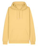 Unisex Cruiser 2.0 iconic hoodie sweatshirt (STSU177)