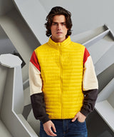 2786 - Tribe fineline padded gilet