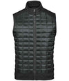 Stormtech Appalachian Thermal Soft Shell Bodywarmer TVX2M
