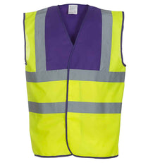 Purple/Yellow