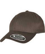 Flexfit by Yupoong Flexfit 110 curved visor snapback YP177