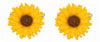 Sunflower Rhodium Plated Cufflinks by Dalaco